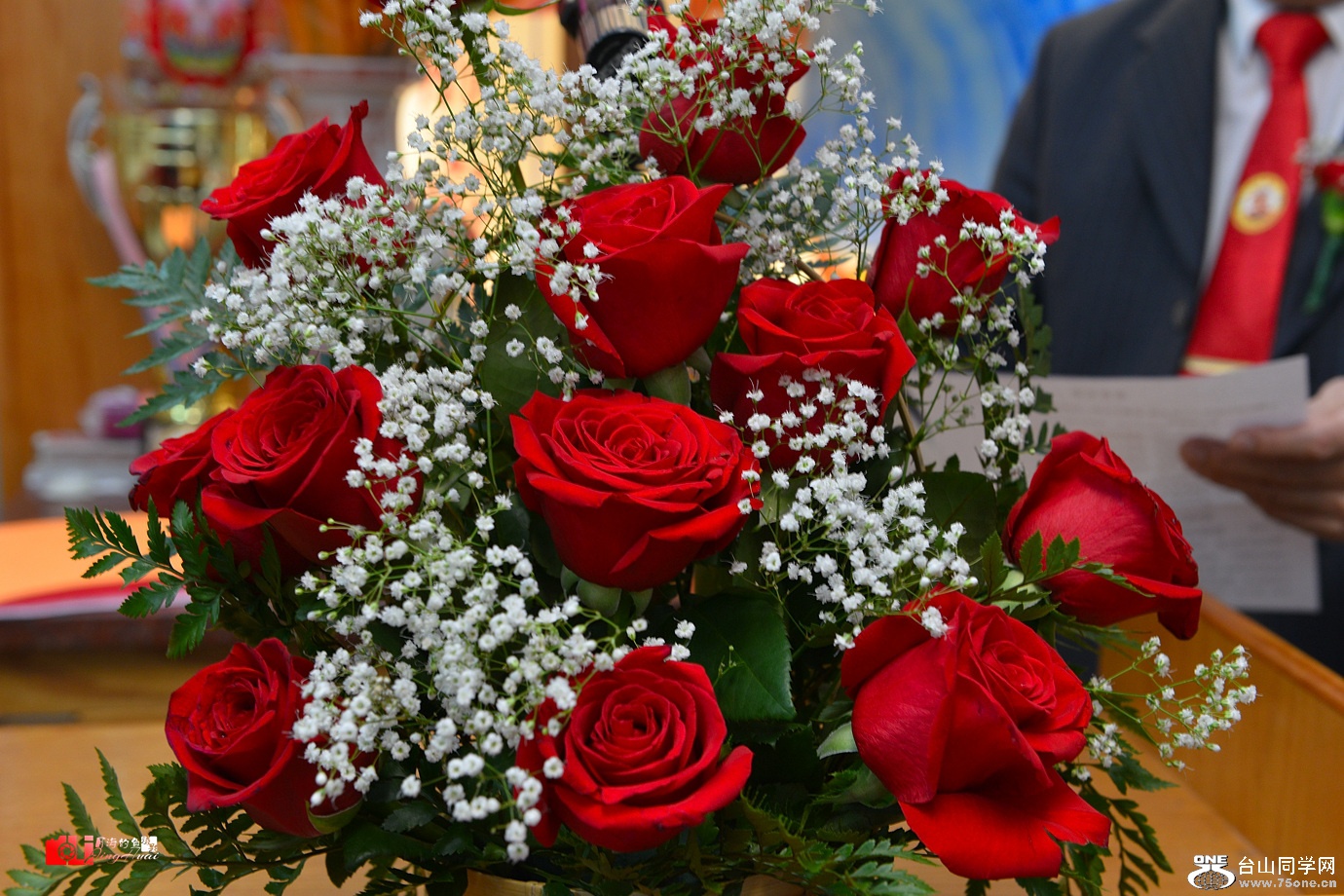 DSC_7662.jpg