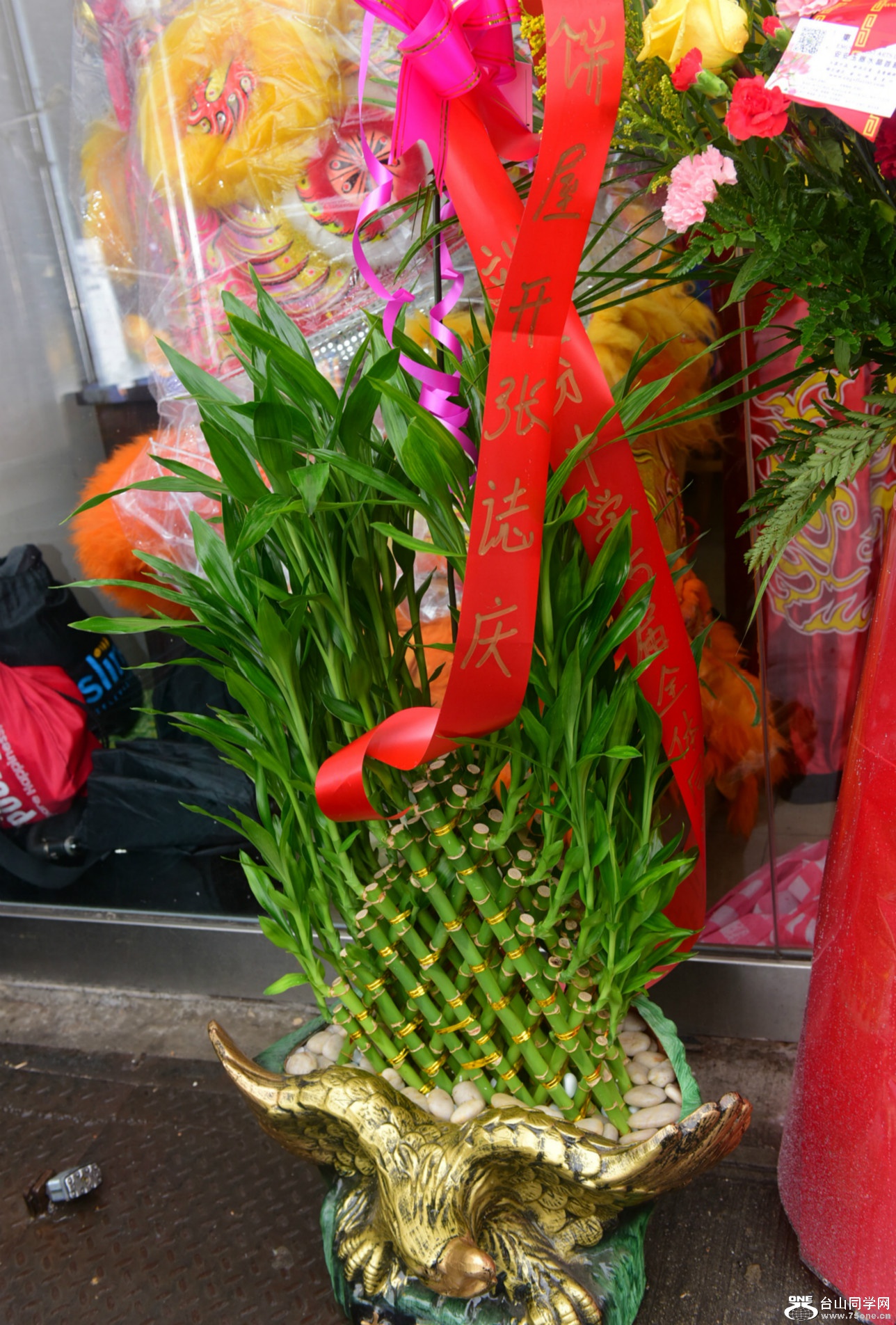 DSC_5760.jpg