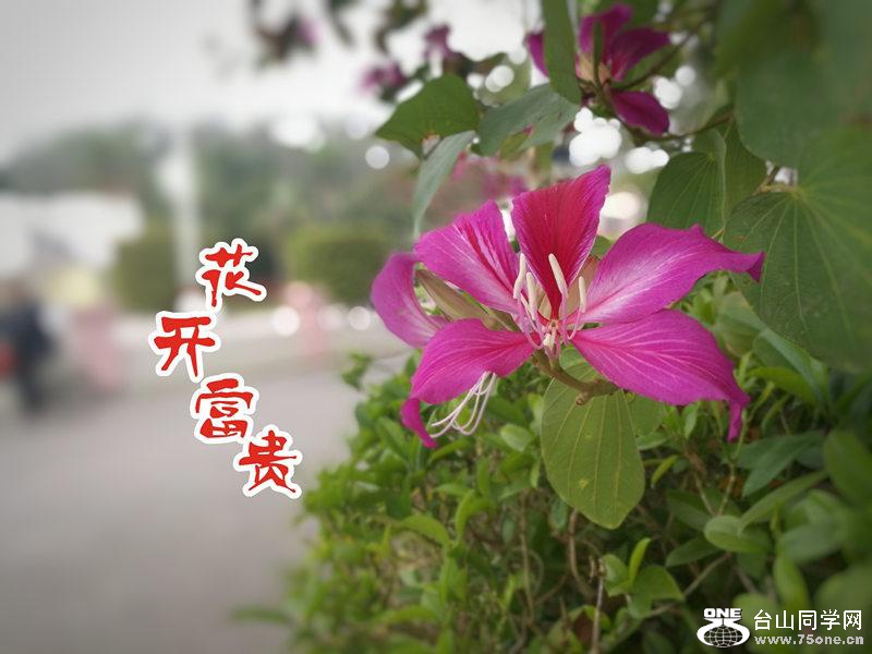 IMG_20190204_193453.jpg