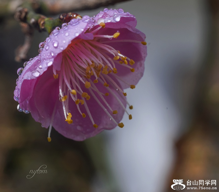 DSC03917_.jpg