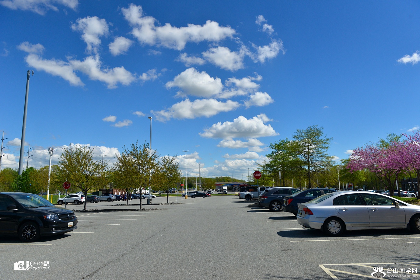 DSC_4404.jpg