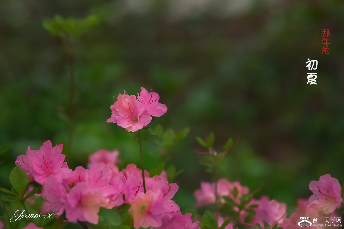 ttuuhh (9 - 14) ����.jpg