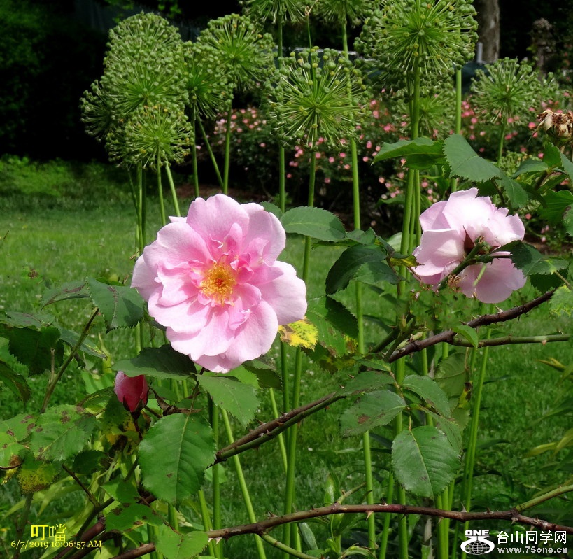 DSC02805aa_1.jpg
