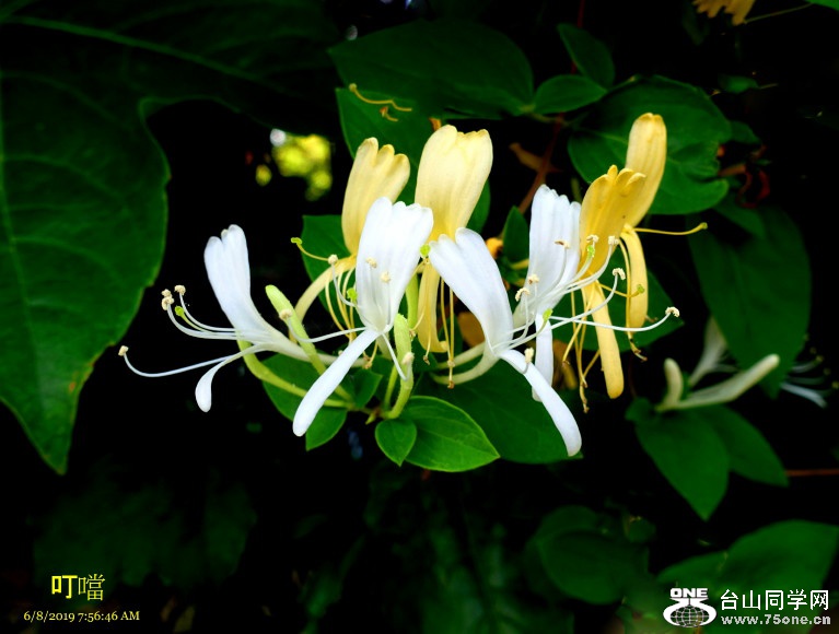 DSC04247a_1.jpg