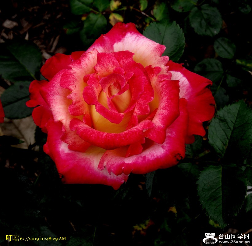 DSC02840a_1.jpg