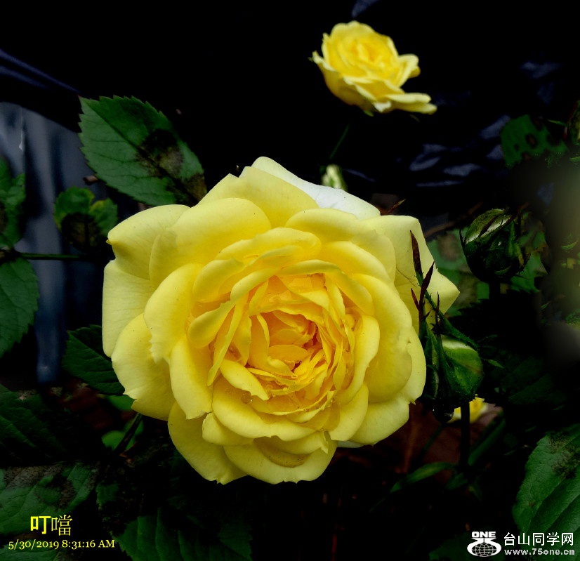 DSC02583b_1.jpg