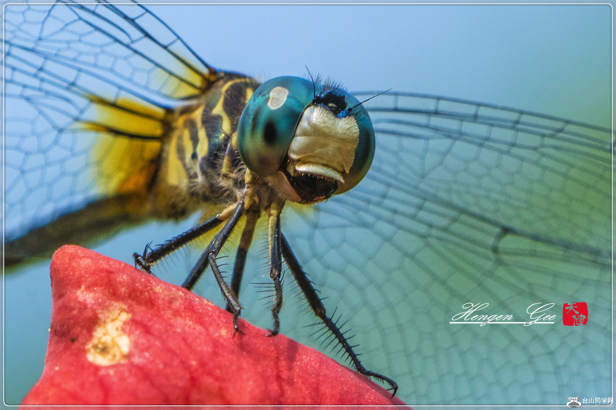 DSCO.jpg 0316_����_����.jpg