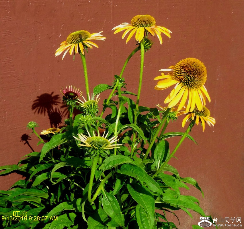 DSC04101a_1.jpg