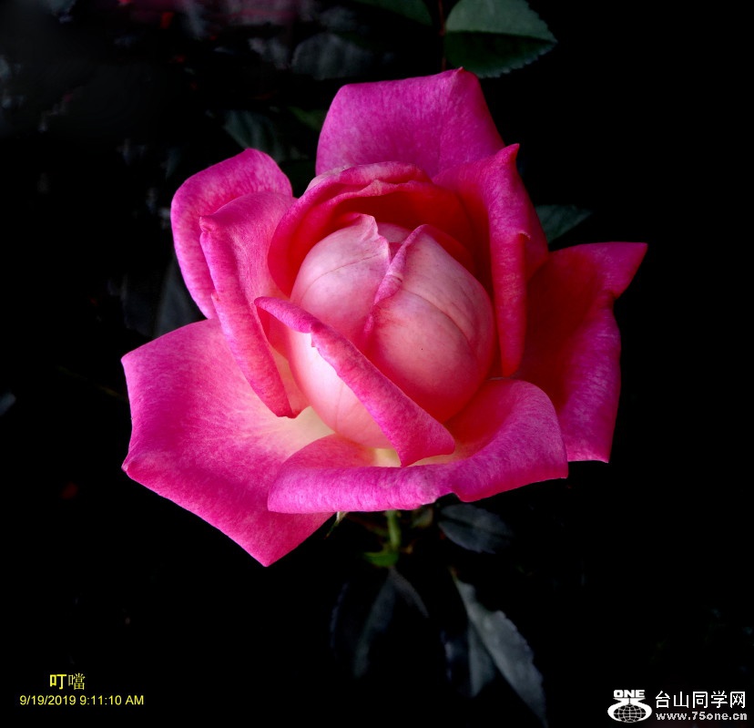 DSC04143a_1.jpg