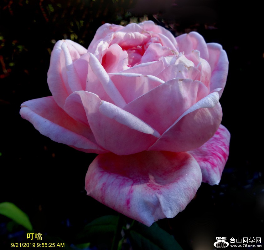 DSC04165a_1.jpg
