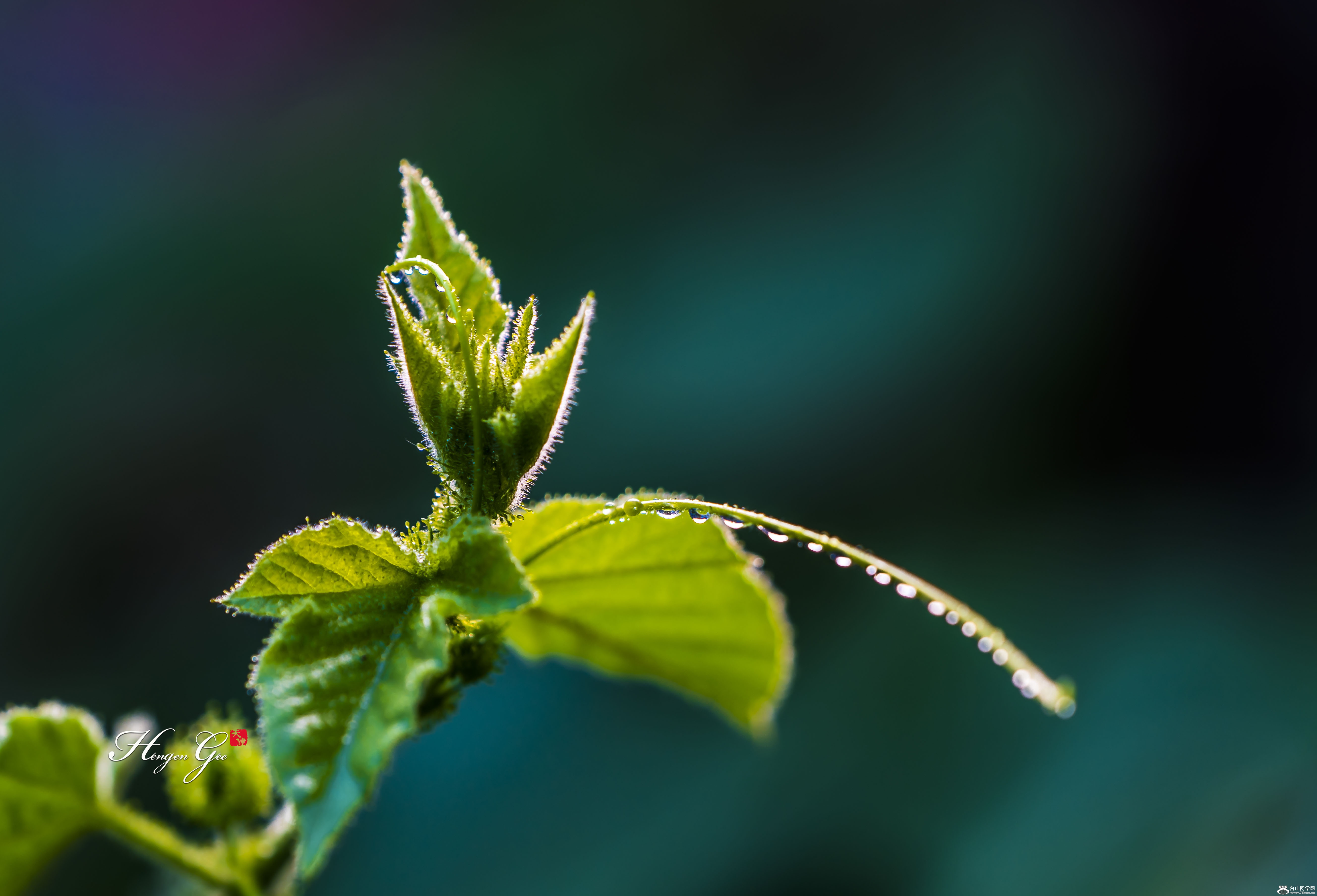 DSCO9838_���� copy.jpg