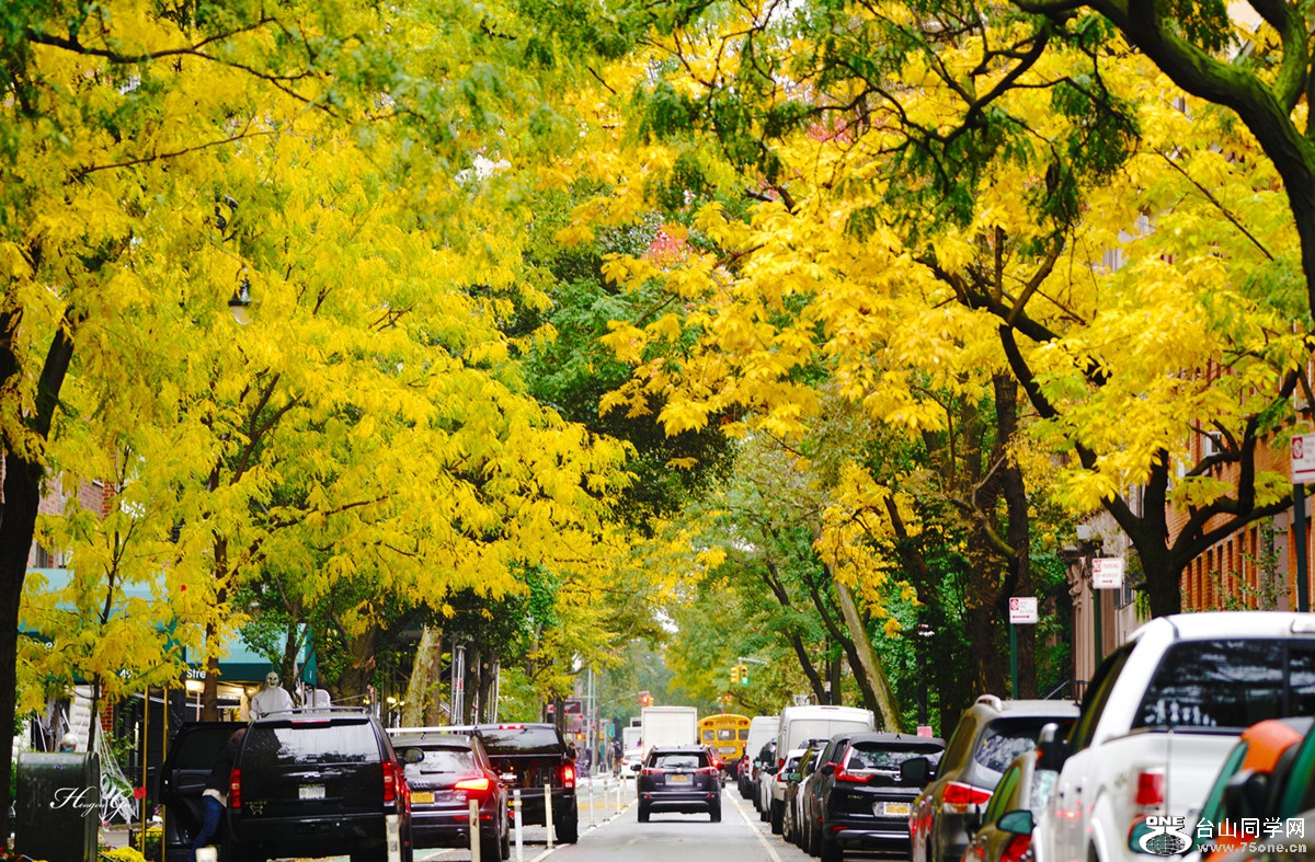 DSC01546 =copy_����_����.jpg