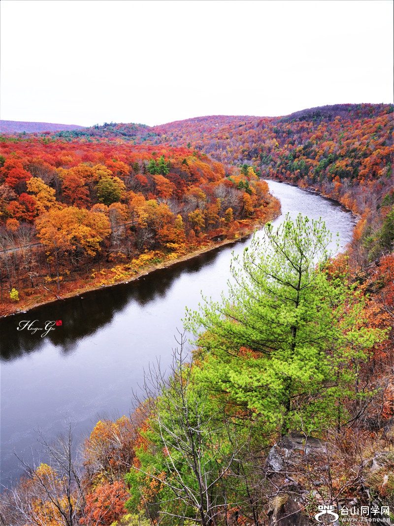 DSC01774 copy=_����.jpg