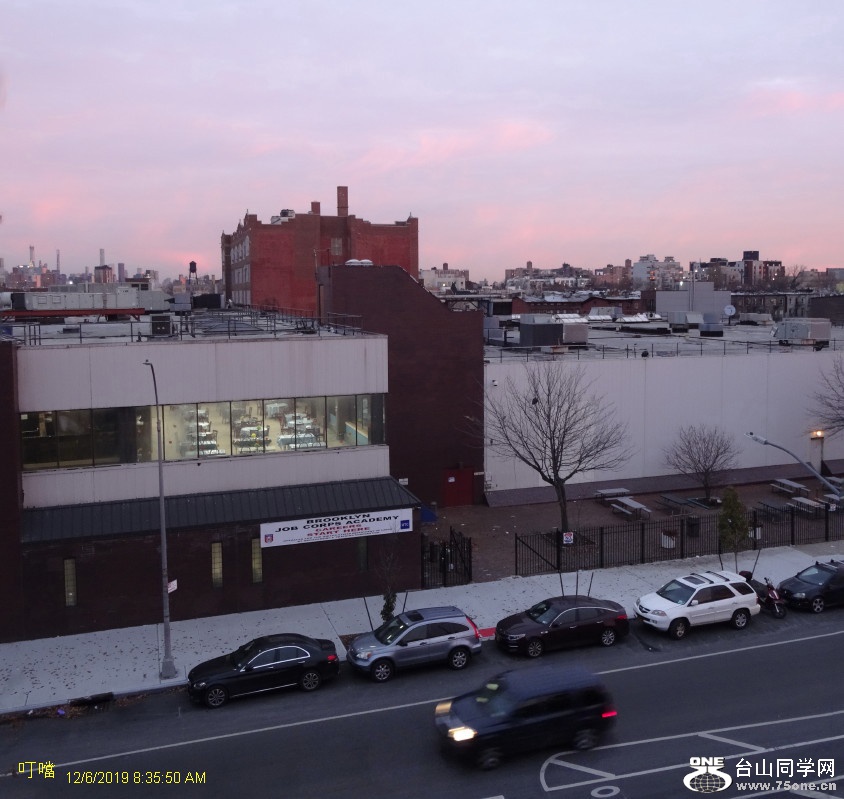 DSC04781aa_1.jpg