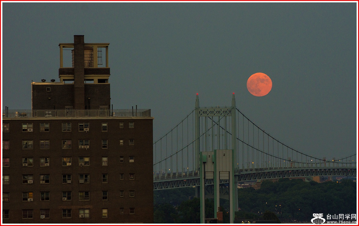 ���ճ���������