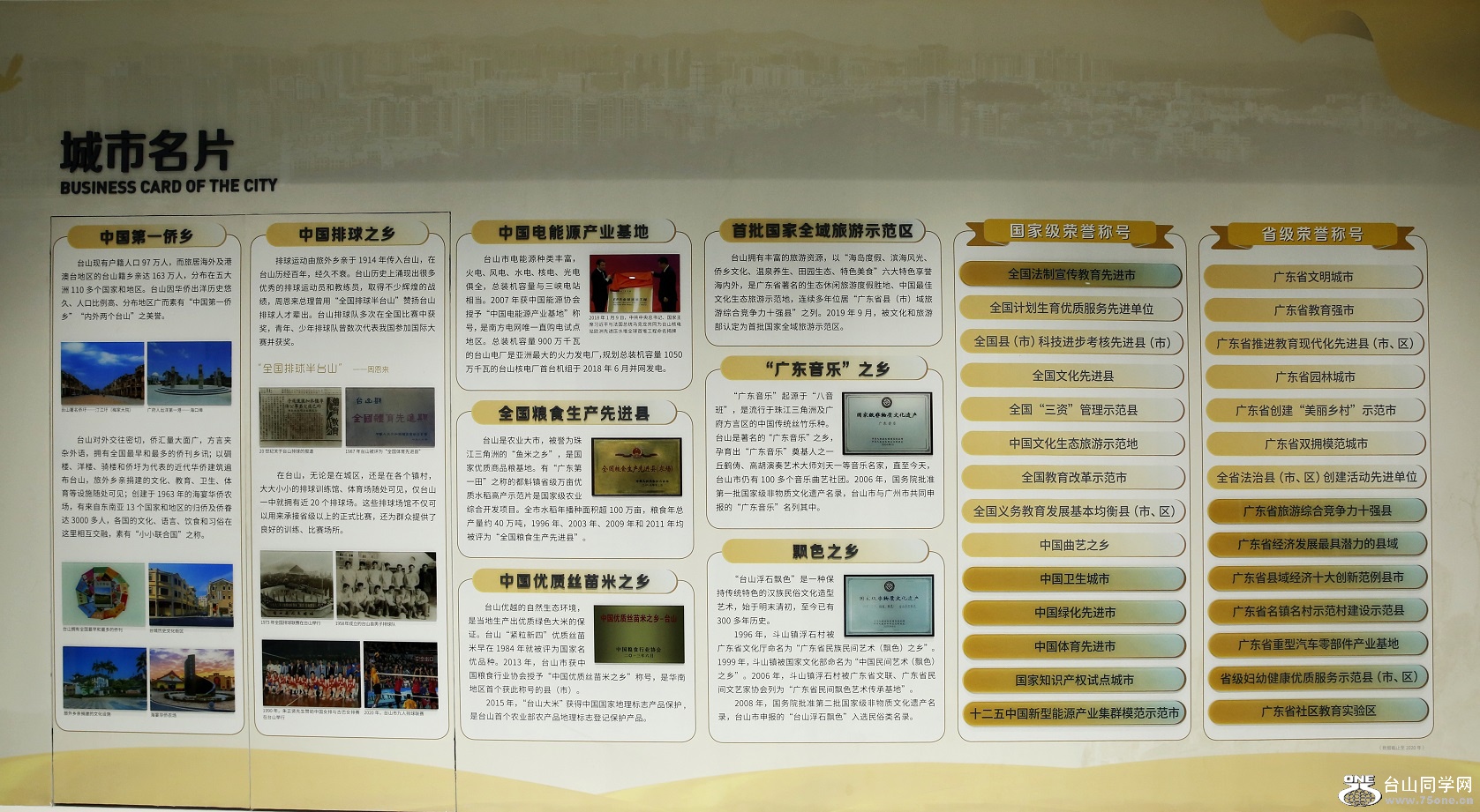 96.jpg
