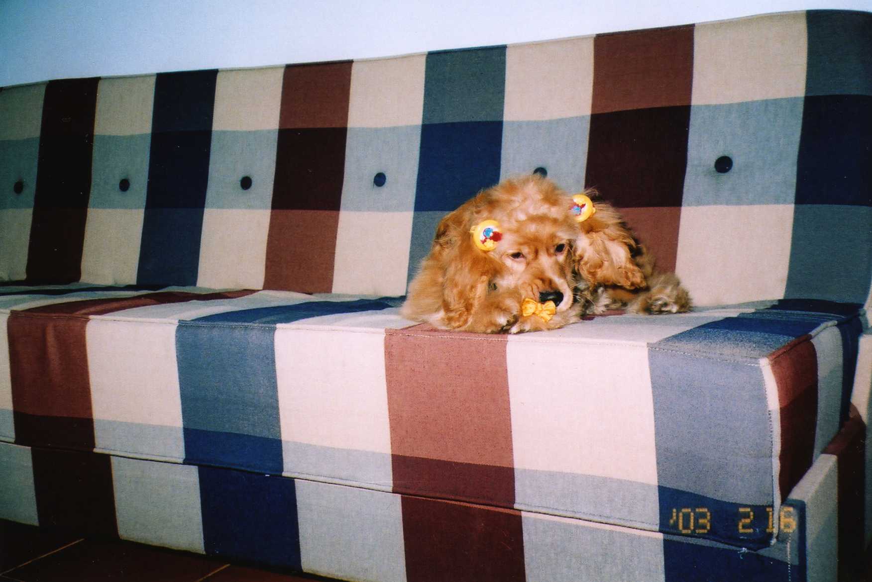 img291.jpg
