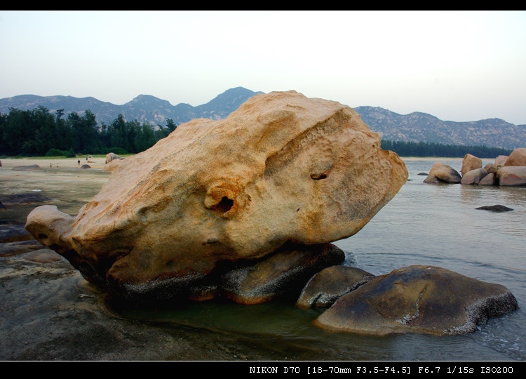 DSC_0065s.jpg