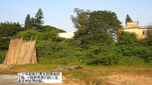 DSCN1385.JPG