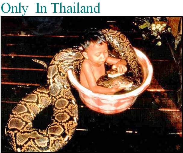Thailand.jpg