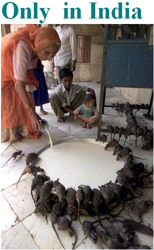 India.jpg