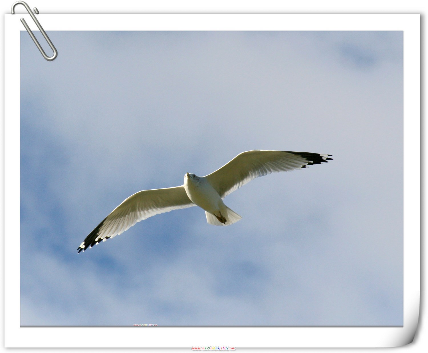IMG_3492.jpg