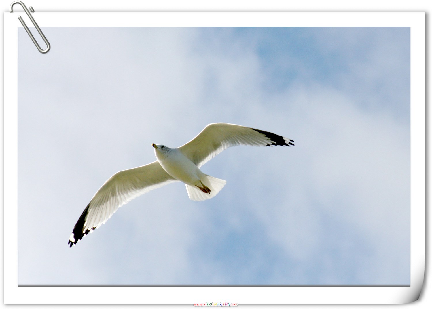 IMG_3493.jpg