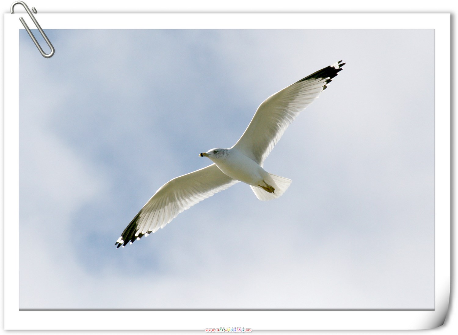 IMG_3494.jpg