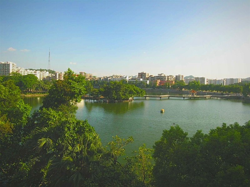 _DSCN8798.jpg