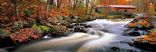 797083_QVxLcPaEgOiGXp85_dTXdd7bqKHfJ.jpg