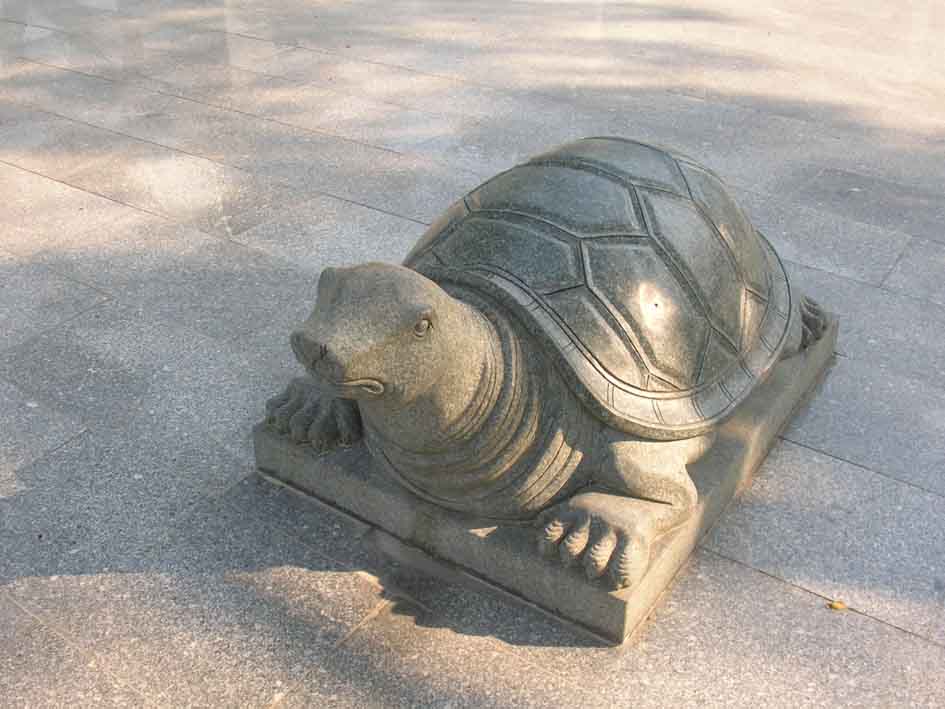 DSCN3794.jpg