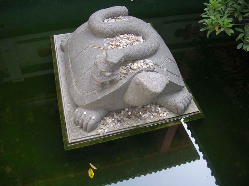 DSCN3800.jpg