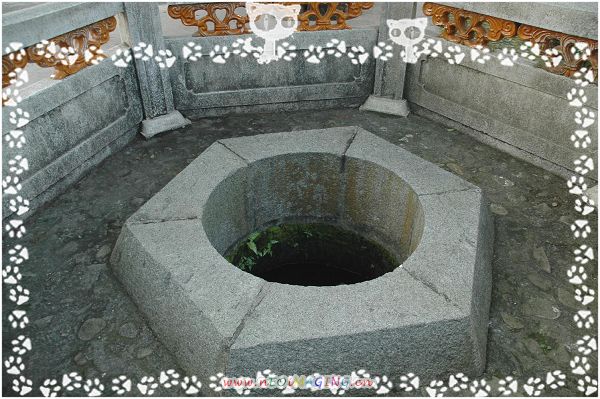 DSC_8460.JPG