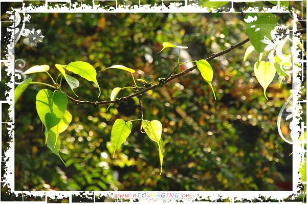 DSC_8446.JPG