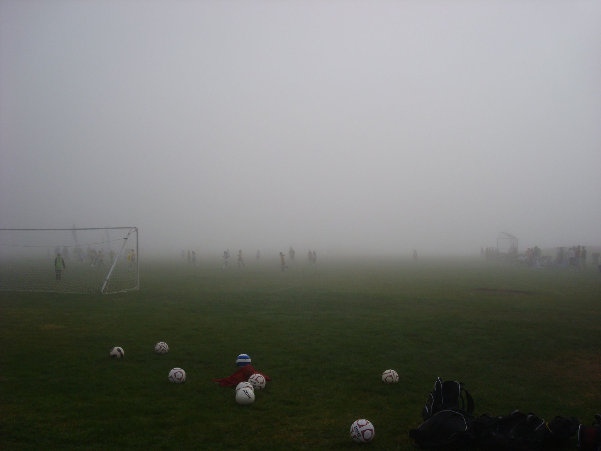 DSC03387.jpg