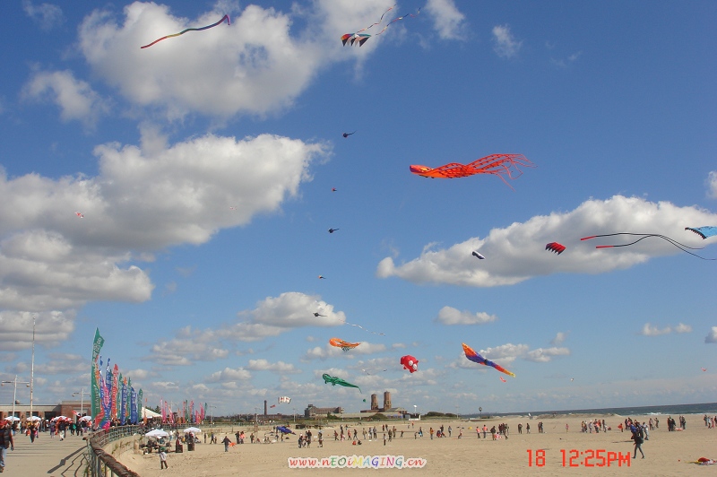 DSC02078.JPG