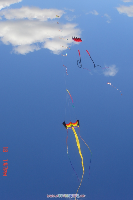 DSC02114.JPG