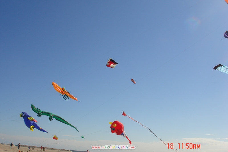 DSC02065.JPG