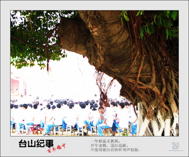 11de901233cg214.jpg