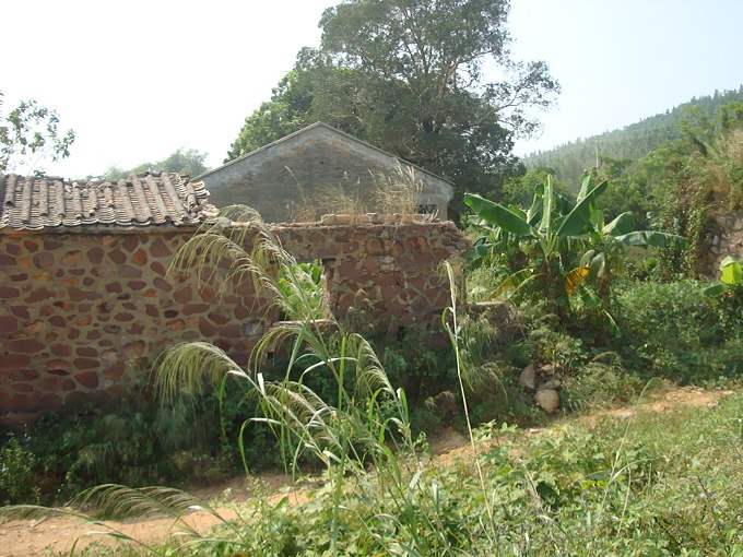 DSC03380.JPG