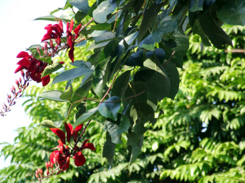 DSCF1282.jpg