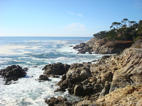 DSC03908.JPG
