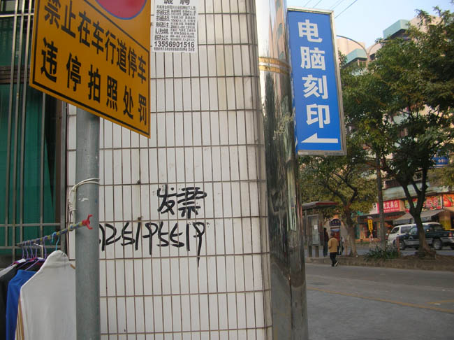 2860.jpg