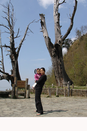 DSC04304.JPG