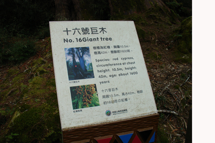 DSC04357.JPG