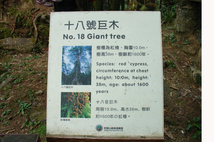 DSC04360.JPG