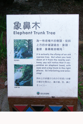 DSC04408.JPG