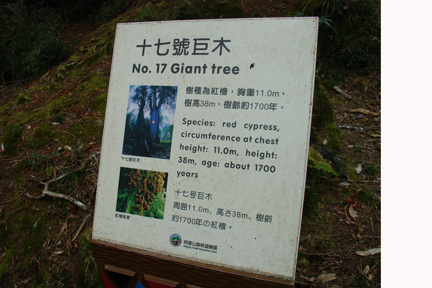 DSC04356.JPG