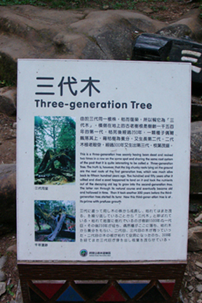 DSC04404.JPG