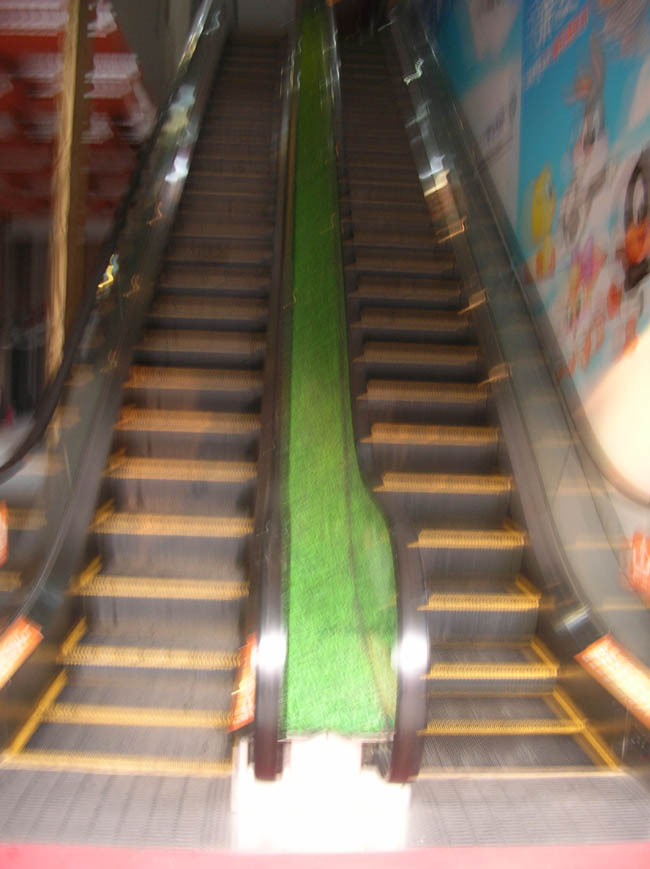 2942.jpg